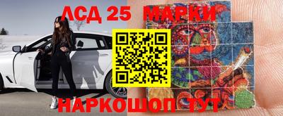 СК Рыбинск