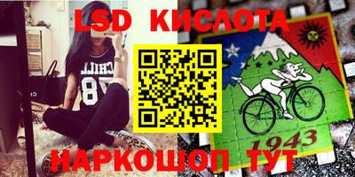 СК Рыбинск