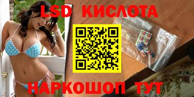 СК Рыбинск