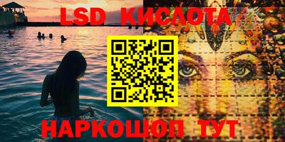 СК Рыбинск