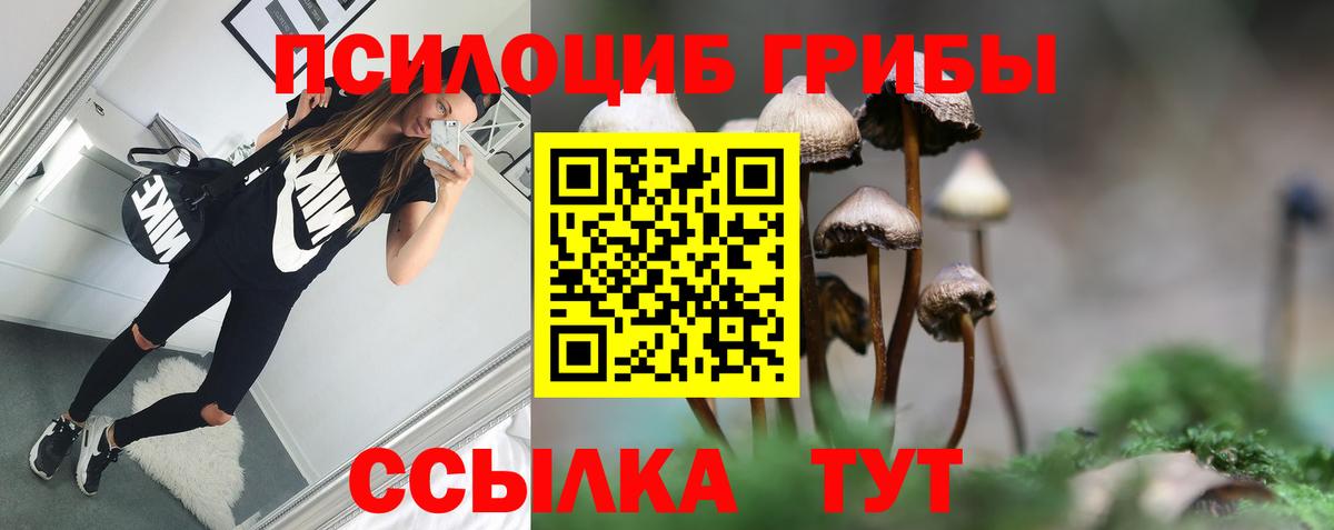 купить наркотики сайты  Псилоцибиновые грибы мухоморы  Вход с VPN  Галлюциногенные грибы мухоморы  Петрозаводск 