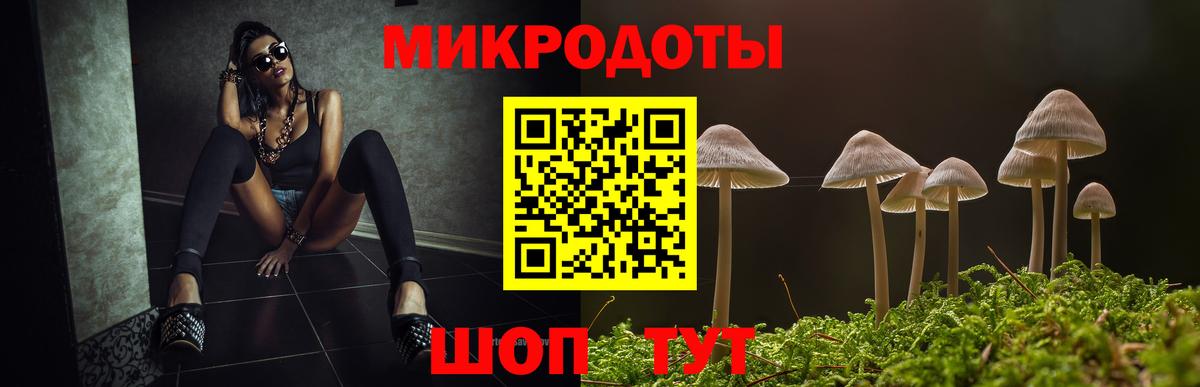 Галлюциногенные грибы Psilocybe Петрозаводск